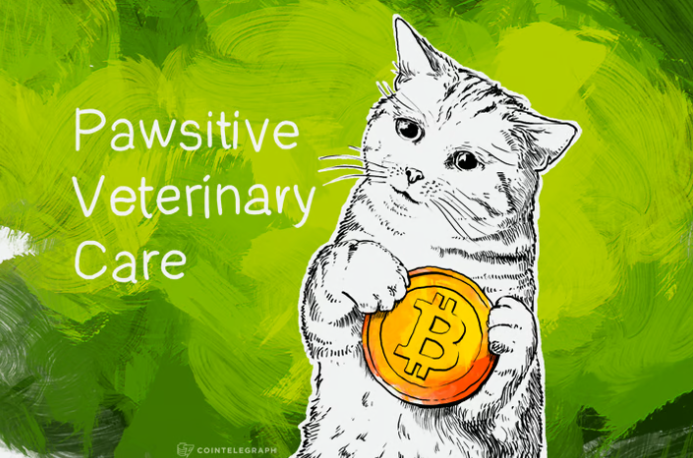 Screenshot of The Pawsitive Veterinary Care on Bitcoin