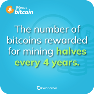 Bitcoin Fact Illustration - When is the bitcoin halving?