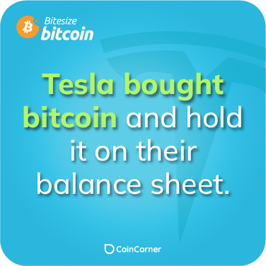 Bitcoin Fact Illustration - Did Tesla buy bitcoin?