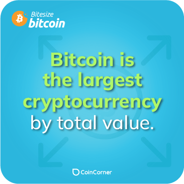 Bitcoin Fact Illustration - What is the largest cryptocurrency?