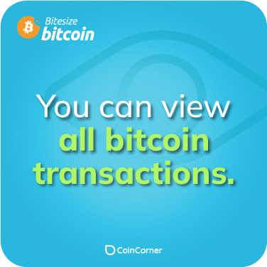 Bitcoin Fact Illustration - Can I view bitcoin transactions?